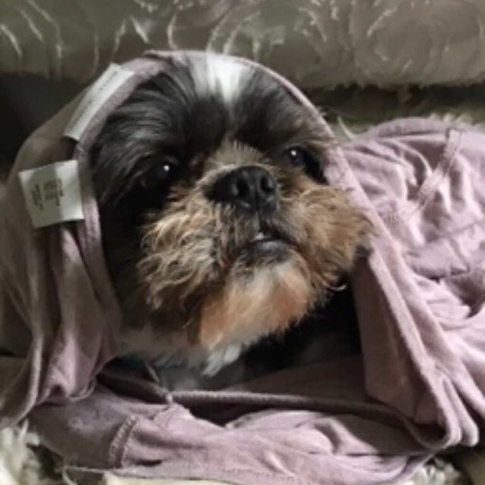 Meet your Posher, Samantha